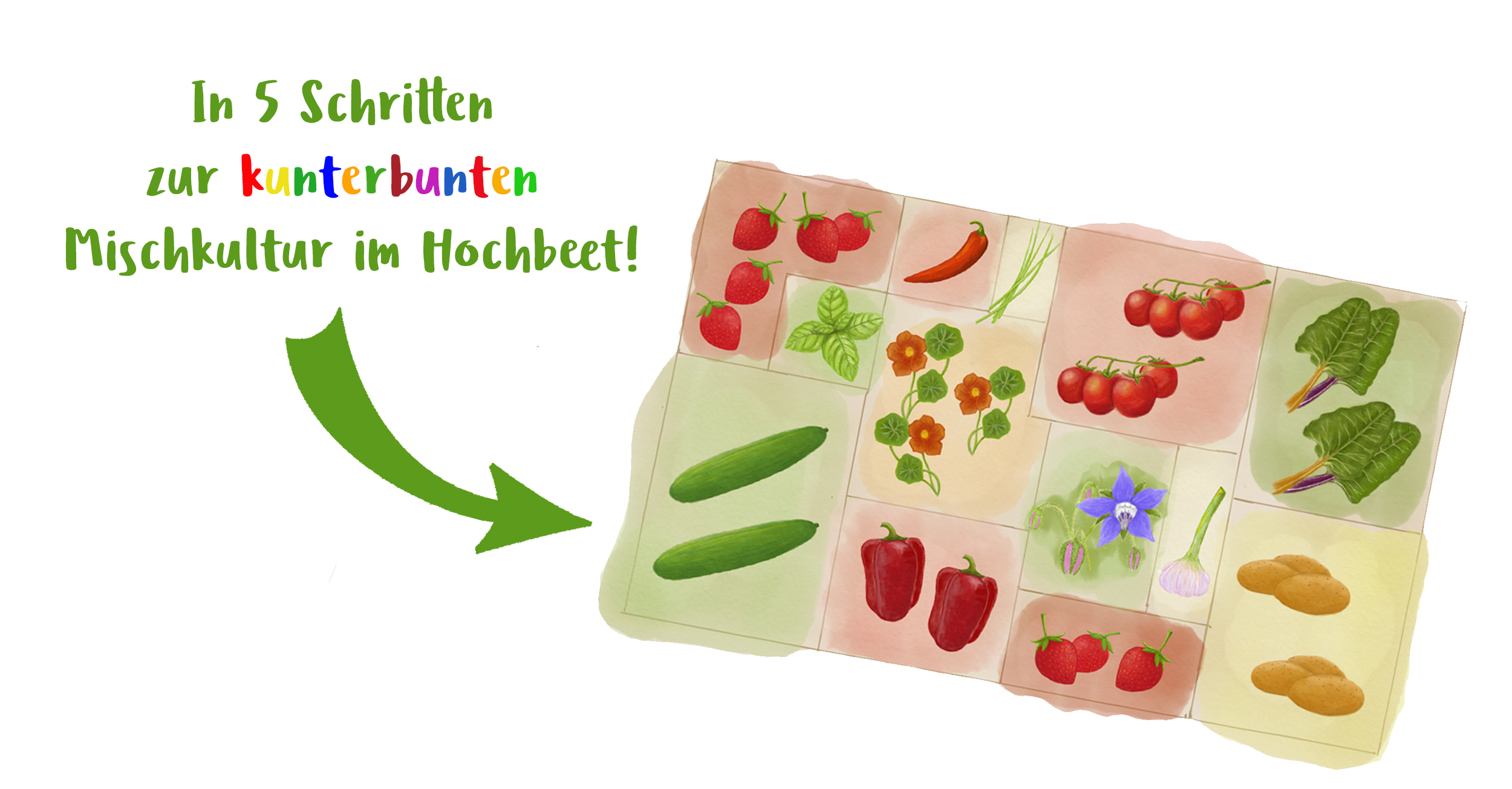 Mischkultur im Hochbeet Logo Bunt Weiß 2.jpg