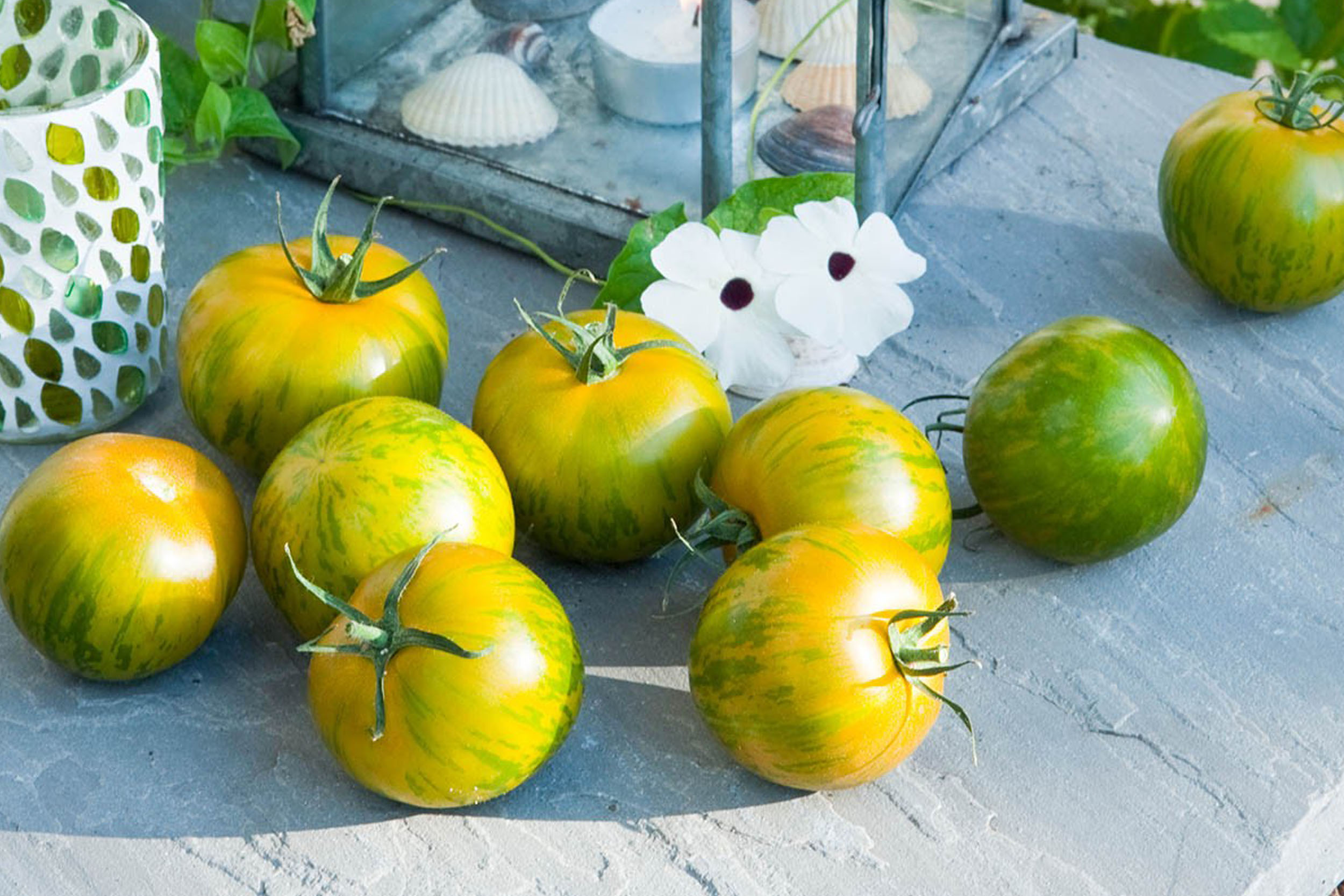 gestreifte Tomaten.jpg