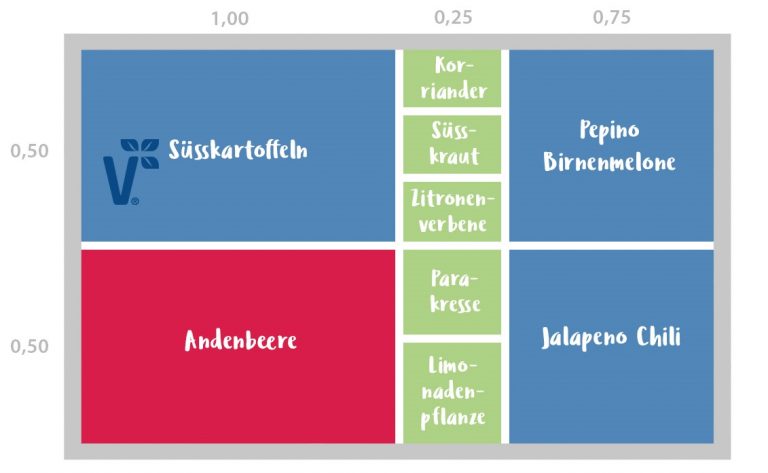 Hochbeet_Südamerika_NEU-1-768x473.jpg