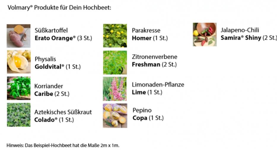 Liste-südamerikanisches-Hochbeet-768x407.png