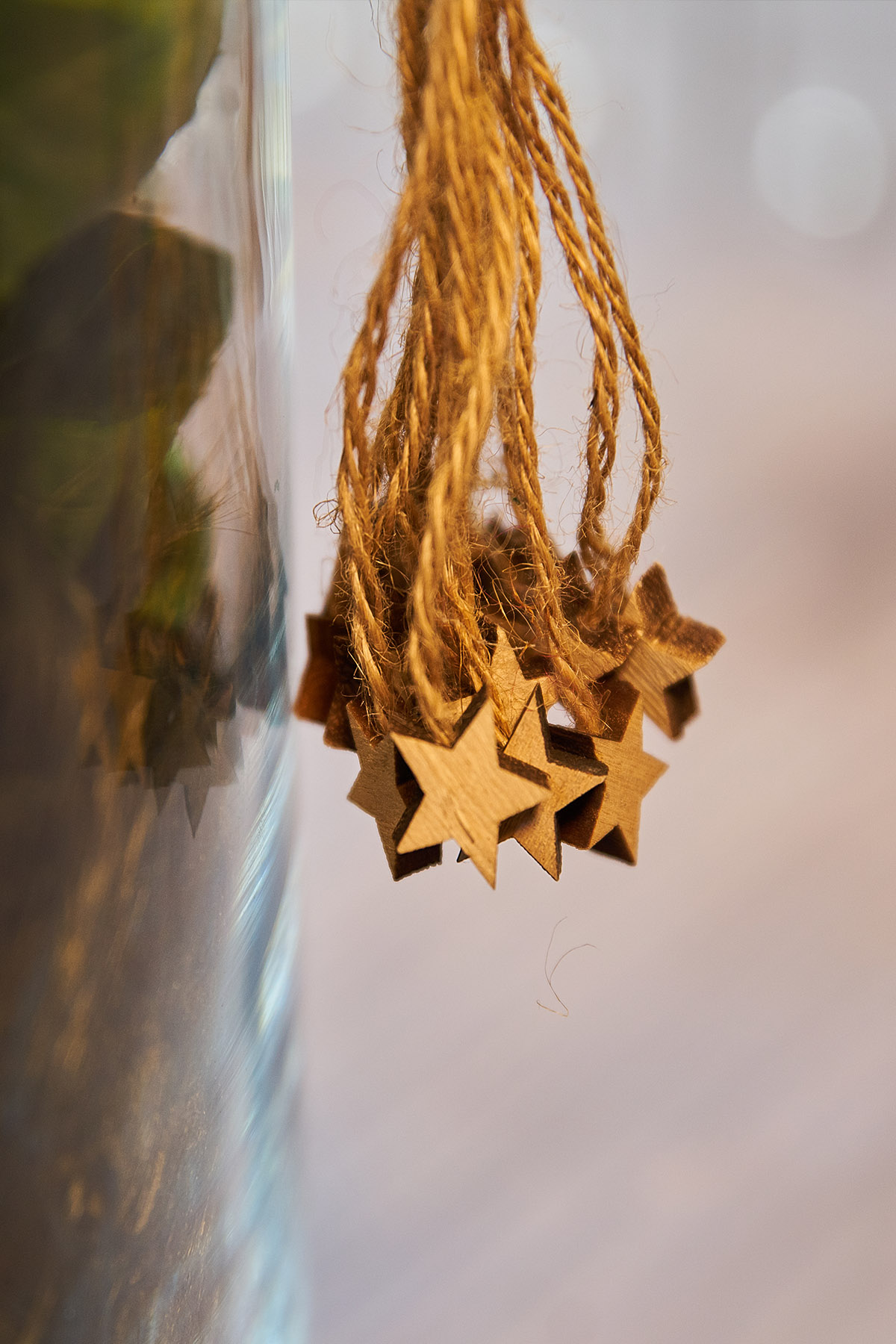 Indoor Weihnachtsdeko mit Christrosen 2 Hochkant Sterne.jpg