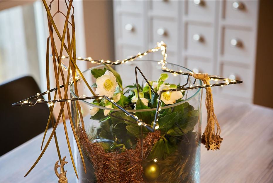 Indoor Weihnachtsdeko mit Christrosen 2.jpg