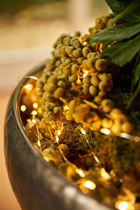 Indoor Weihnachtsdeko mit Christrosen Hochkant.jpg