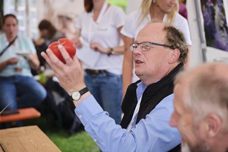 Die schwerste Tomate.jpg