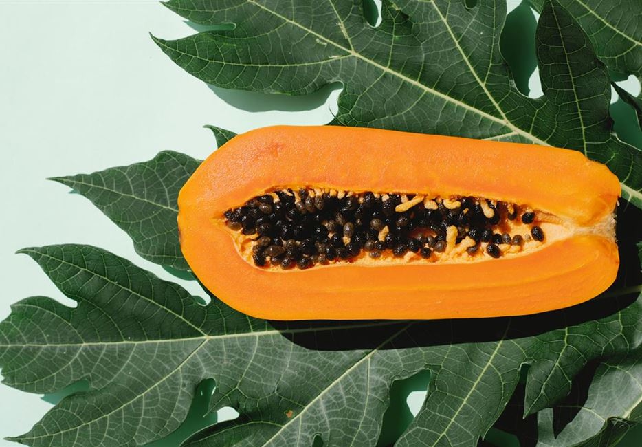 papaya-ziehen.jpg