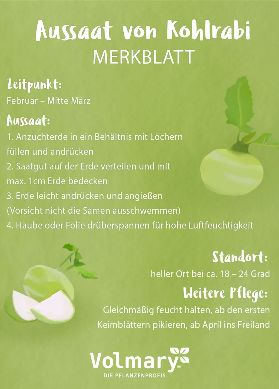 Post_Merkblatt_Kohlrabi.jpg