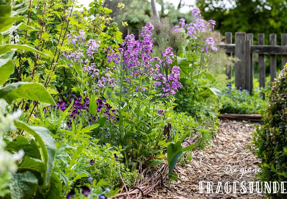 gartenarbeit-im-mai.jpg