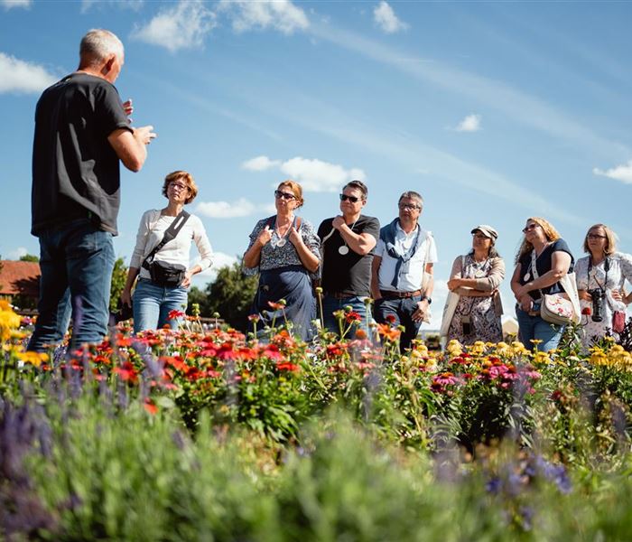 volkers-gartenwissen.jpg