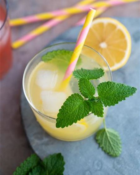 Gin-Sour-Rezept.jpg