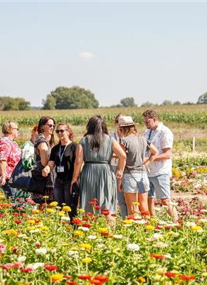 Blumenbeet Fuehrung Volmary.jpg