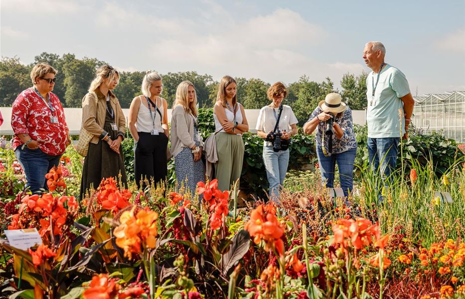 Pflanzenfuehrung Blumenfelder.jpg