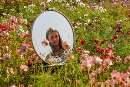 Spiegel im Blumenfeld.jpg