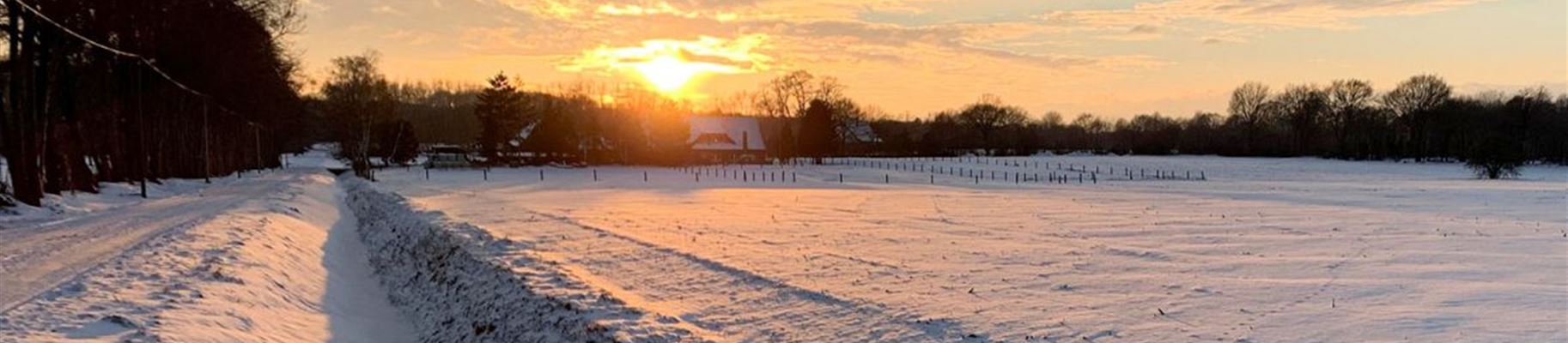 Schnee-Sonnenuntergang-1170x893.jpg