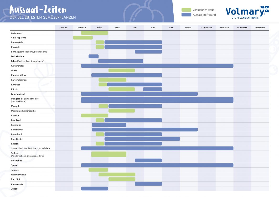 Aussaatkalender-für-Gemüsepflanzen-1170x827.jpg