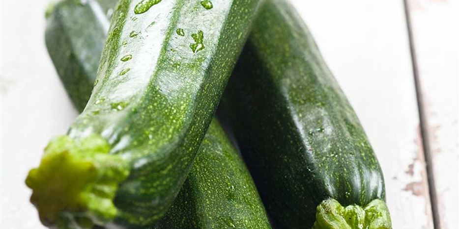 Zucchini_pflegen_1.jpg