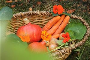 Zutaten-für-Kürbissuppe-1024x683.jpg