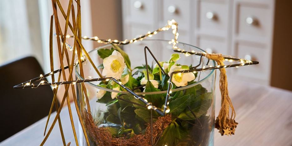 Indoor-Weihnachtsdeko-mit-Christrosen-2-1024x683.jpg