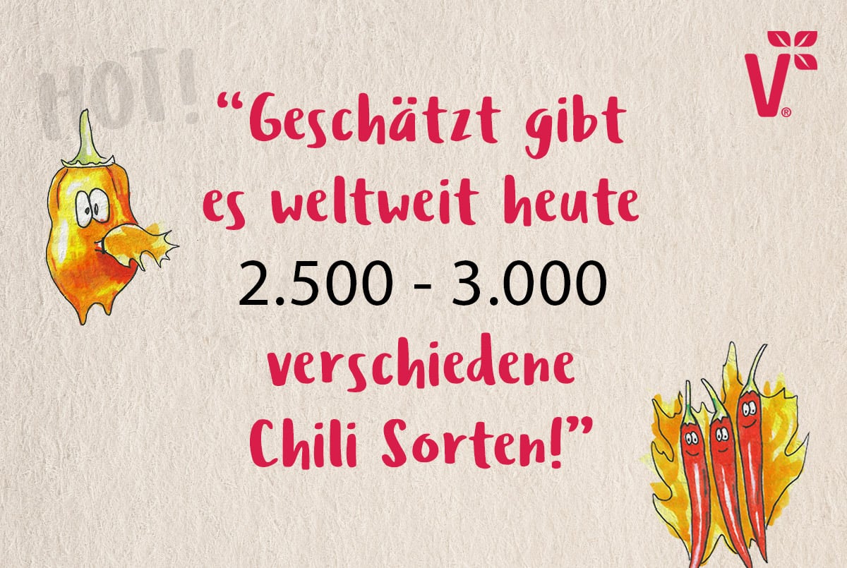 chili-sorten-weltweit-volmary.jpg