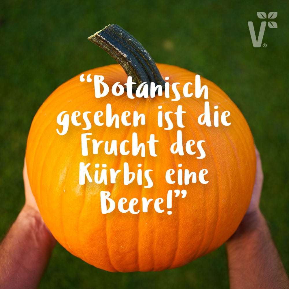 Botanisch_Beere.jpg