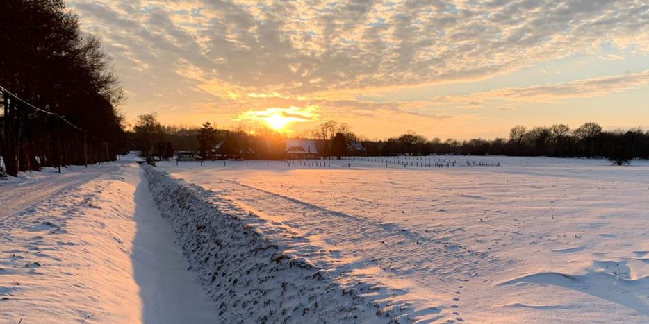 Schnee-Sonnenuntergang-1170x893.jpg