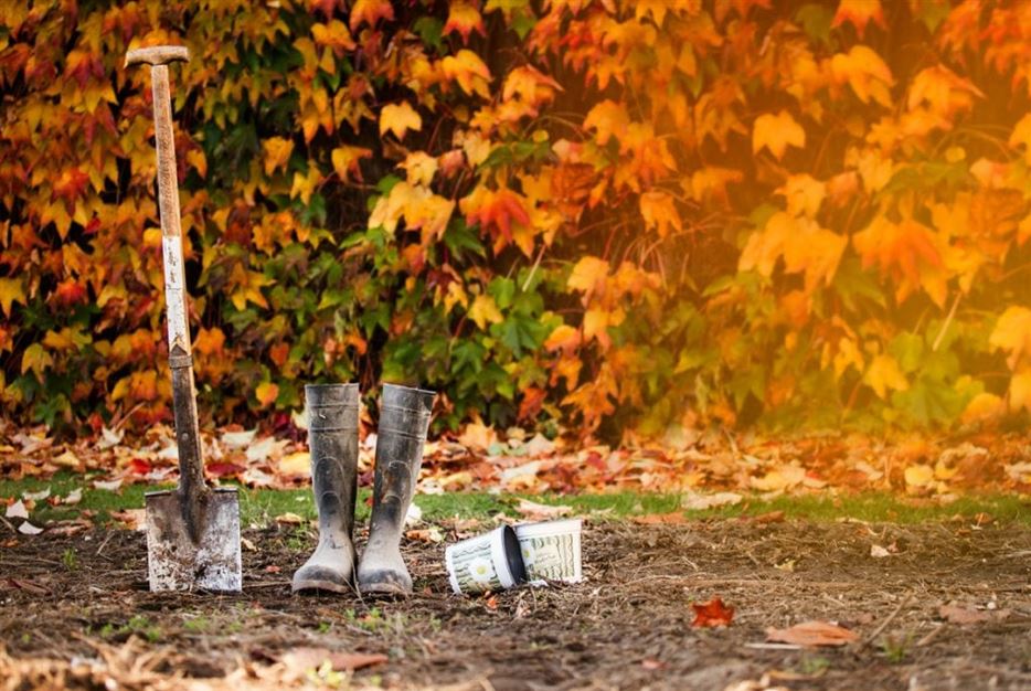 Gartenarbeit-im-herbst-1024x687.jpg